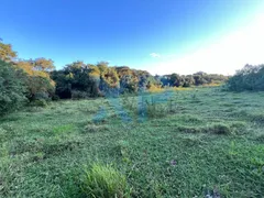 Fazenda / Sítio / Chácara com 2 Quartos à venda, 60m² no Zona Rural, São Sebastião do Oeste - Foto 23