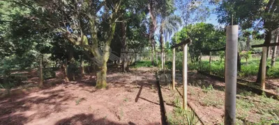Fazenda / Sítio / Chácara com 2 Quartos à venda, 120m² no Chácara Recreio Terras de São José Zona Rural, São José do Rio Preto - Foto 19