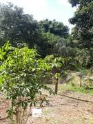 Fazenda / Sítio / Chácara com 3 Quartos à venda, 605m² no Zona Rural, Ouro Verde de Goiás - Foto 24
