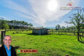 Fazenda / Sítio / Chácara com 2 Quartos à venda, 120m² no Campo da Brazina, Araricá - Foto 43