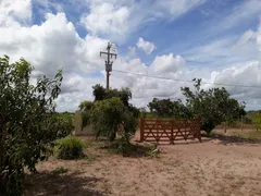 Fazenda / Sítio / Chácara com 3 Quartos à venda, 3000m² no Centro, Ceará Mirim - Foto 8