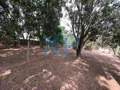 Fazenda / Sítio / Chácara com 4 Quartos à venda, 120m² no Zona Rural, São Sebastião do Oeste - Foto 27