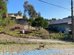 Terreno / Lote / Condomínio à venda, 378m² no Santo Antão, Bento Gonçalves - Foto 3