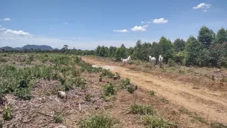 Fazenda / Sítio / Chácara à venda, 3318464m² no Centro, Serra - Foto 20