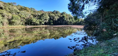 Fazenda / Sítio / Chácara à venda, 27072m² no Centro, Mandirituba - Foto 3