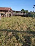 Fazenda / Sítio / Chácara à venda no Zona Rural, Urucuia - Foto 1