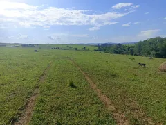 Fazenda / Sítio / Chácara à venda, 314600m² no Zona Rural, Guareí - Foto 23