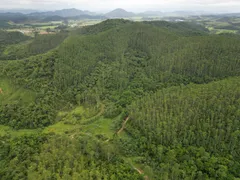 Fazenda / Sítio / Chácara com 1 Quarto à venda, 7500000m² no Brilhante I, Itajaí - Foto 3