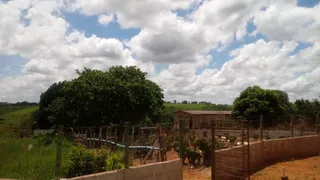 Fazenda / Sítio / Chácara com 3 Quartos à venda, 30000m² no Zona Rural, Glória do Goitá - Foto 9