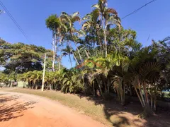 Fazenda / Sítio / Chácara com 8 Quartos à venda, 20000m² no Vila Guedes, Jaguariúna - Foto 104