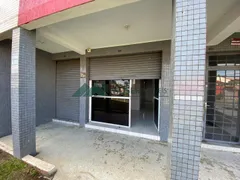 Loja / Salão / Ponto Comercial para alugar, 34m² no Uberaba, Curitiba - Foto 4