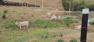 Fazenda / Sítio / Chácara com 2 Quartos à venda, 95m² no Centro, Conceição de Macabu - Foto 9