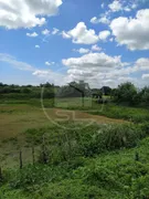 Fazenda / Sítio / Chácara com 3 Quartos à venda, 75000m² no Centro, Pindoretama - Foto 2