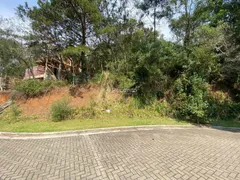 Terreno / Lote / Condomínio à venda, 503m² no Pórtico, Gramado - Foto 3