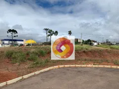 Terreno / Lote / Condomínio à venda, 469m² no Gralha Azul, Fazenda Rio Grande - Foto 7
