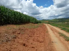 Fazenda / Sítio / Chácara com 2 Quartos à venda, 75m² no Zona Rural, Lambari - Foto 50