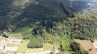 Fazenda / Sítio / Chácara com 1 Quarto à venda, 40000m² no Linha Avila, Gramado - Foto 4