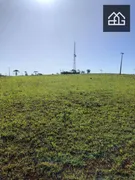 Fazenda / Sítio / Chácara com 3 Quartos à venda, 52600m² no , Santa Tereza do Oeste - Foto 11