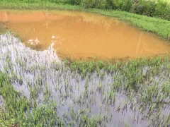 Fazenda / Sítio / Chácara com 4 Quartos à venda, 1330m² no Cocais, Ibiúna - Foto 17