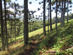 Fazenda / Sítio / Chácara com 1 Quarto à venda, 150000m² no Rural, Extrema - Foto 14