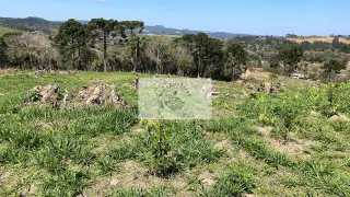 Fazenda / Sítio / Chácara com 1 Quarto à venda, 17545m² no Centro, Agudos do Sul - Foto 16