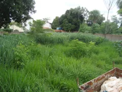 Terreno / Lote / Condomínio à venda no Santa Cruz II, Cuiabá - Foto 5