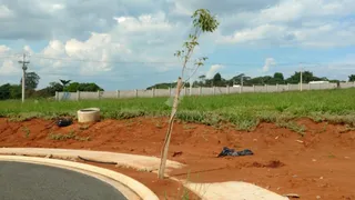 Terreno / Lote / Condomínio à venda, 555m² no Centro, Monte Alegre do Sul - Foto 6