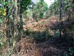 Terreno / Lote / Condomínio à venda, 49000m² no Centro, Bocaina de Minas - Foto 4