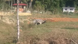 Fazenda / Sítio / Chácara à venda, 6000m² no Três Riachos, Biguaçu - Foto 20