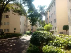 Apartamento com 2 Quartos à venda, 53m² no Jardim Lucinda, São Paulo - Foto 1