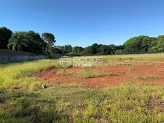 Terreno / Lote / Condomínio à venda, 816m² no Panorama, Uberlândia - Foto 1