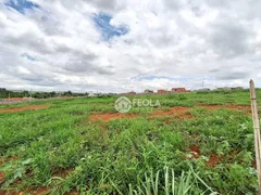 Terreno / Lote / Condomínio à venda, 300m² no Jardim Florenca, Nova Odessa - Foto 5