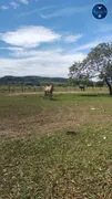 Fazenda / Sítio / Chácara à venda no Zona Rural, Nova Xavantina - Foto 7