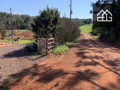 Fazenda / Sítio / Chácara com 2 Quartos à venda, 100m² no Sao Joao d Oeste, Cascavel - Foto 7