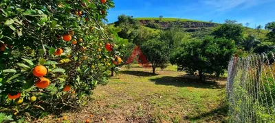 Fazenda / Sítio / Chácara com 3 Quartos à venda, 100000m² no Capoeirinha, Guararema - Foto 8