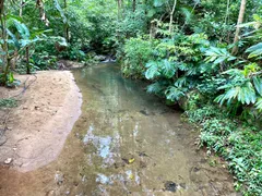 Fazenda / Sítio / Chácara com 3 Quartos à venda, 35000000m² no Timbe, Tijucas - Foto 8