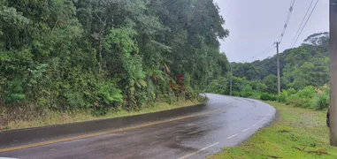 Fazenda / Sítio / Chácara à venda, 426000m² no Mato Queimado, Gramado - Foto 15