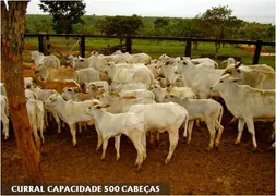 Fazenda / Sítio / Chácara com 4 Quartos à venda, 39790000m² no Centro, Buritizeiro - Foto 9