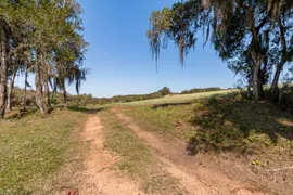 Fazenda / Sítio / Chácara com 4 Quartos à venda, 348800m² no Area Rural de Fazenda Rio Grande, Fazenda Rio Grande - Foto 64