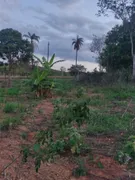 Fazenda / Sítio / Chácara com 3 Quartos à venda, 21000m² no Sao Vicente, Baldim - Foto 5