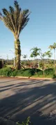 Terreno / Lote / Condomínio à venda, 450m² no Ingleses do Rio Vermelho, Florianópolis - Foto 4