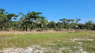 Terreno / Lote / Condomínio à venda, 4200m² no Praia do Ervino, São Francisco do Sul - Foto 13