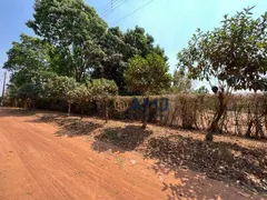 Terreno / Lote / Condomínio à venda, 1982m² no Centro, Aragoiânia - Foto 6