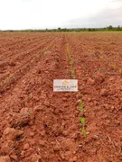 Fazenda / Sítio / Chácara com 12 Quartos à venda, 890m² no Zona Rural, Santa Rosa do Tocantins - Foto 10