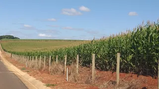 Fazenda / Sítio / Chácara com 2 Quartos à venda, 65m² no Zona Rural, Quadra - Foto 3