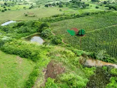 Fazenda / Sítio / Chácara com 3 Quartos à venda, 100m² no Centro, Alagoa Nova - Foto 25