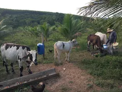 Casa de Condomínio com 2 Quartos à venda, 12546m² no Açu da Tôrre, Mata de São João - Foto 14