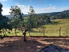 Fazenda / Sítio / Chácara com 2 Quartos à venda, 140m² no Lopes, Valinhos - Foto 53