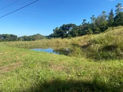 Fazenda / Sítio / Chácara com 1 Quarto à venda, 60000m² no Serra Grande, Gramado - Foto 27