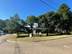 Terreno / Lote / Condomínio à venda, 464m² no Vivendas do Arvoredo, Gramado - Foto 2